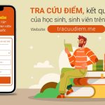 vnedu.vn tra điểm lớp 9